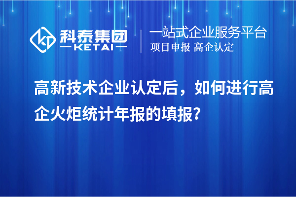 高新技術企業認定后，如何進行高企火炬統計年報的填報？