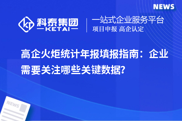 高企火炬統計年報填報指南：企業需要關注哪些關鍵數據？