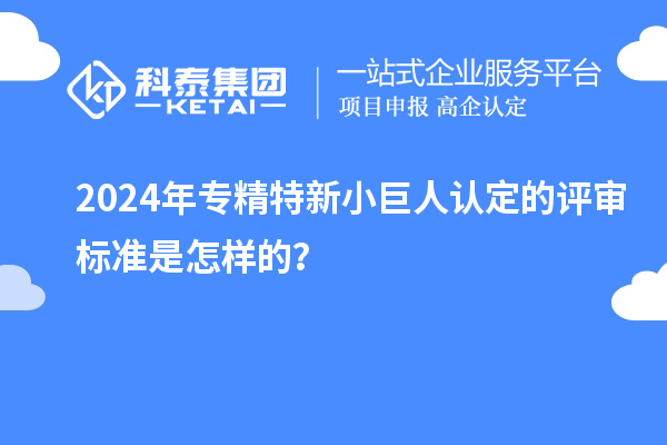 2024年專精特新小巨人認定的評審標準是怎樣的？