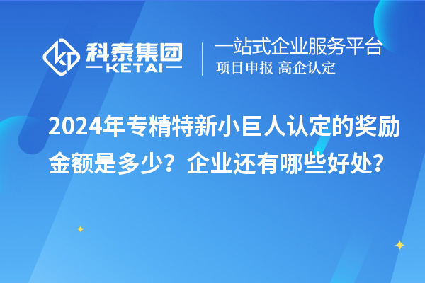 2024年專精特新小巨人認定的獎勵金額是多少？企業還有哪些好處？