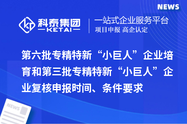 第六批專精特新“小巨人”企業培育和第三批專精特新“小巨人”企業復核申報時間、條件要求、補助獎勵