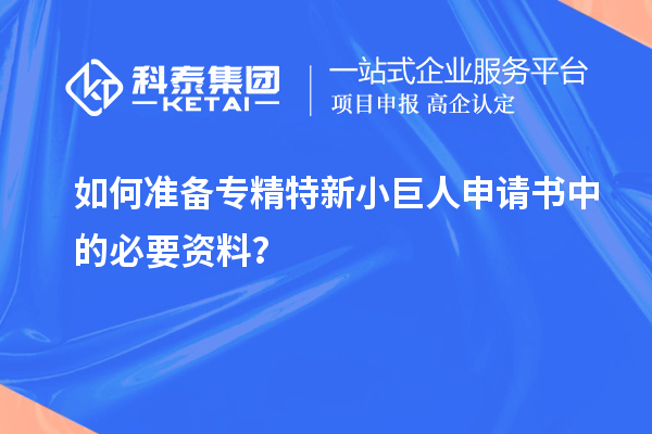 如何準備專精特新小巨人申請書中的必要資料？