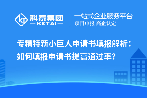 專精特新小巨人申請書填報解析：如何填報申請書提高通過率？