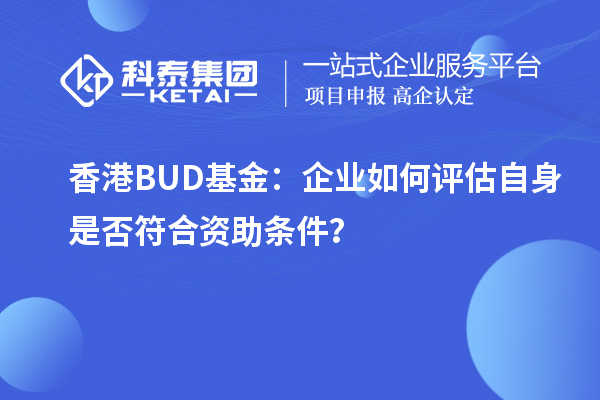 香港BUD基金：企業如何評估自身是否符合資助條件？