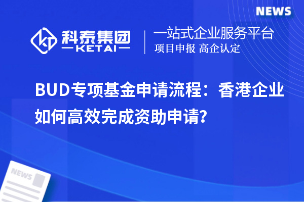 BUD專項基金申請流程：香港企業如何高效完成資助申請？