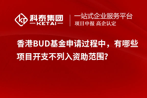 香港BUD基金申請過程中，有哪些項目開支不列入資助范圍？