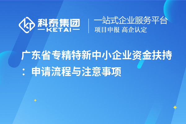 廣東省專精特新中小企業資金扶持：申請流程與注意事項