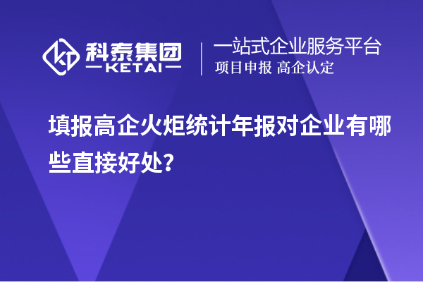  填報高企火炬統計年報對企業有哪些直接好處？