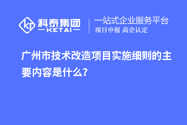 廣州市技術改造項目實施細則的主要內容是什么？