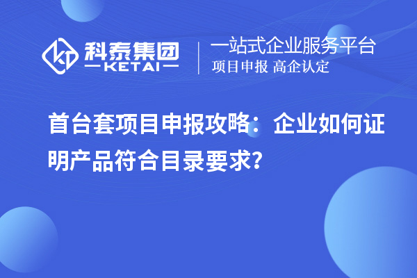 首臺套項目申報攻略：企業如何證明產品符合目錄要求？