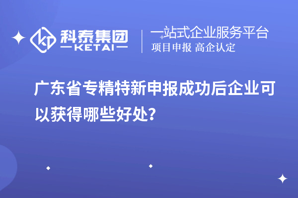廣東省專精特新申報成功后企業可以獲得哪些好處？