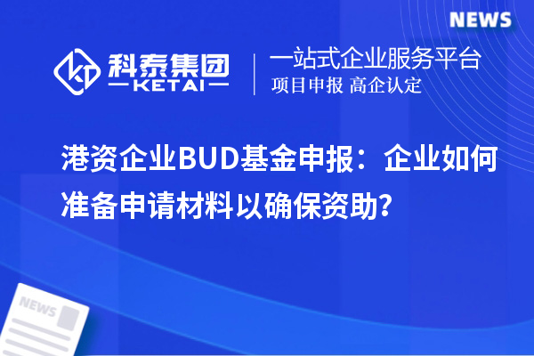 港資企業BUD基金申報：企業如何準備申請材料以確保資助？