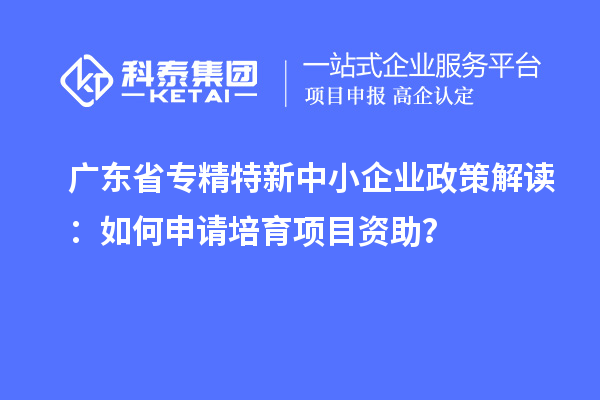 廣東省專精特新中小企業政策解讀：如何申請培育項目資助？