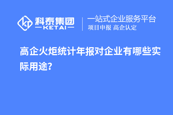 高企火炬統計年報對企業有哪些實際用途？
