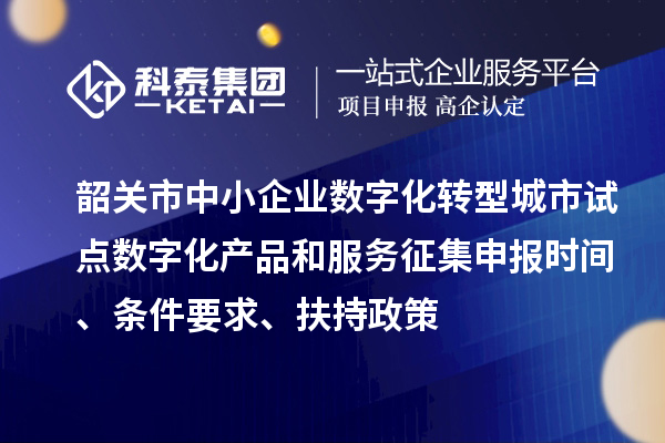 韶關市中小企業數字化轉型城市試點數字化產品和服務征集申報時間、條件要求、扶持政策