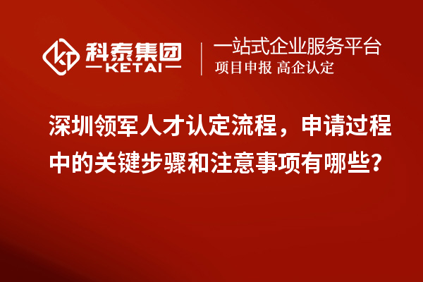 深圳領軍人才認定流程，申請過程中的關鍵步驟和注意事項有哪些？