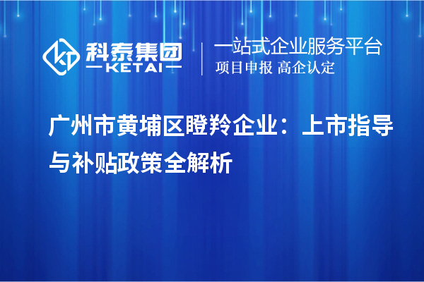 廣州市黃埔區瞪羚企業：上市指導與補貼政策全解析