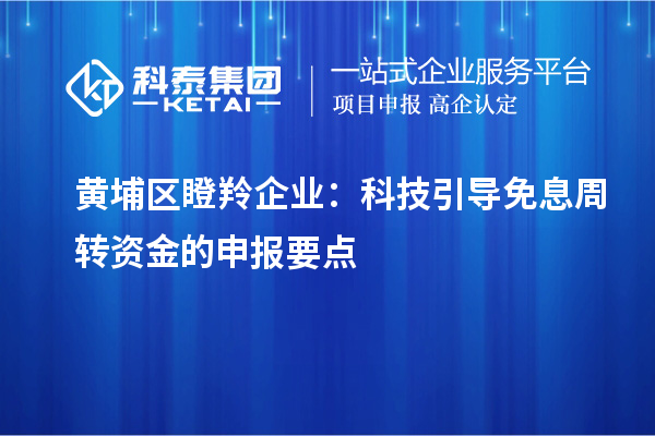 黃埔區瞪羚企業：科技引導免息周轉資金的申報要點