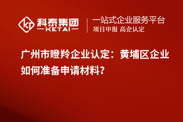 廣州市瞪羚企業認定：黃埔區企業如何準備申請材料？