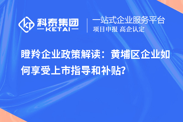 瞪羚企業政策解讀：黃埔區企業如何享受上市指導和補貼？
