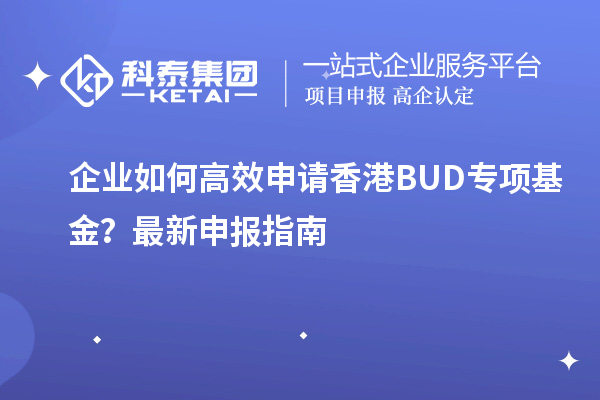 企業如何高效申請香港BUD專項基金？最新申報指南
