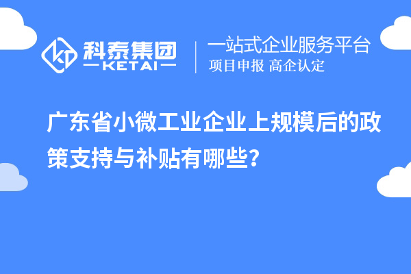 廣東省小微工業企業上規模后的政策支持與補貼有哪些？