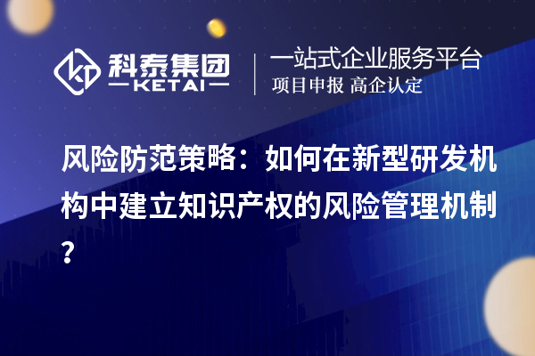 風險防范策略：如何在新型研發機構中建立知識產權的風險管理機制？