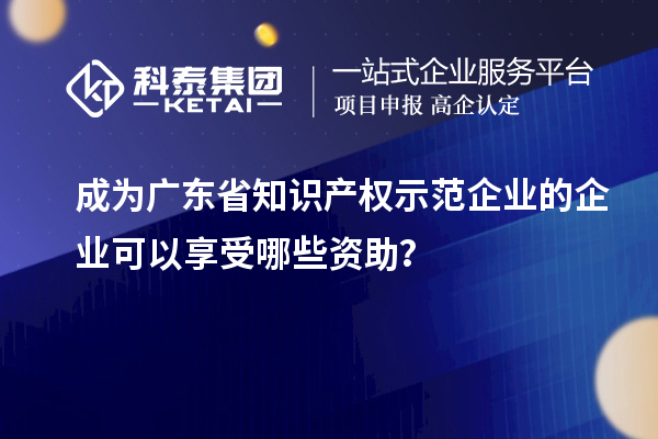 成為廣東省知識產權示范企業的企業可以享受哪些資助？