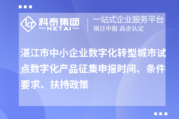 湛江市中小企業數字化轉型城市試點數字化產品征集申報時間、條件要求、扶持政策