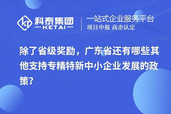 除了省級獎勵，廣東省還有哪些其他支持專精特新中小企業發展的政策？