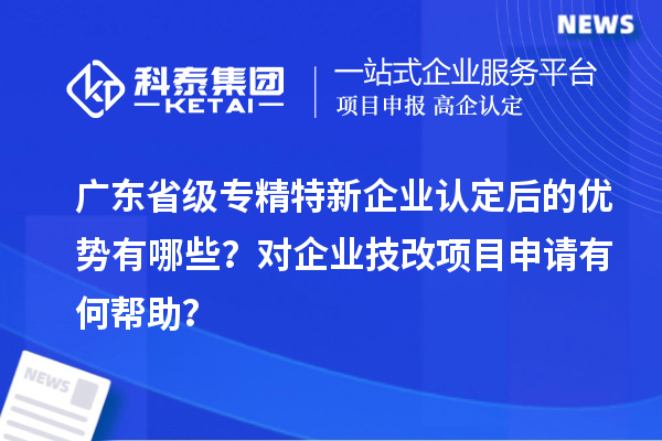 廣東省級專精特新企業認定后的優勢有哪些？對企業技改項目申請有何幫助？