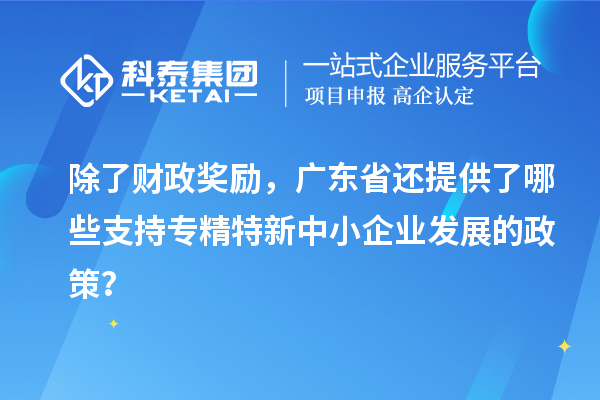 除了財政獎勵，廣東省還提供了哪些支持專精特新中小企業發展的政策？