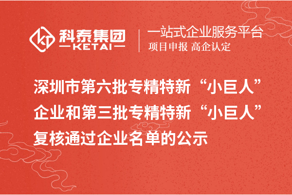 深圳市第六批專精特新“小巨人”企業和第三批專精特新“小巨人”復核通過企業名單的公示