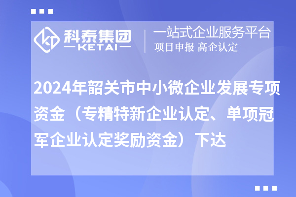 2024年韶關市中小微企業發展專項資金（專精特新企業認定、單項冠軍企業認定獎勵資金）下達