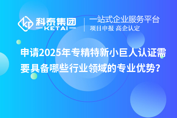 申請2025年專精特新小巨人認證需要具備哪些行業領域的專業優勢？