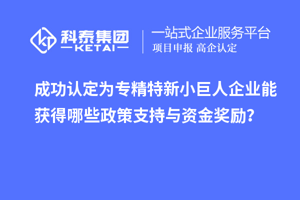 成功認定為專精特新小巨人企業能獲得哪些政策支持與資金獎勵？