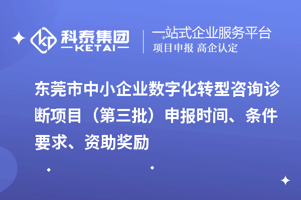 東莞市中小企業數字化轉型咨詢診斷項目（第三批）申報時間、條件要求、資助獎勵