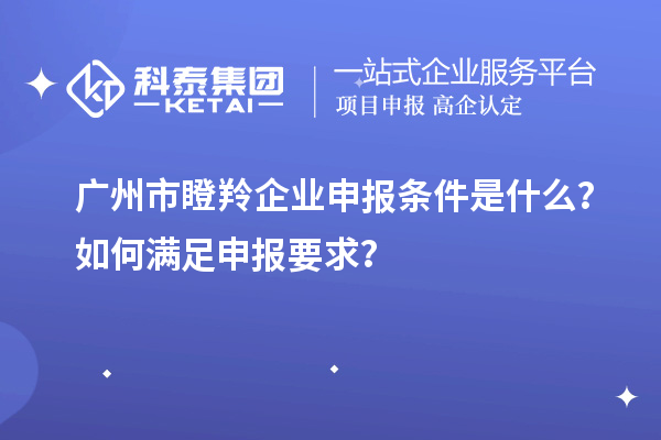 廣州市瞪羚企業申報條件是什么？如何滿足申報要求？