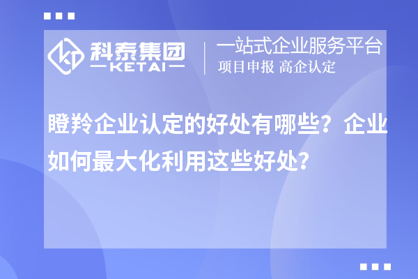 瞪羚企業認定的好處有哪些？企業如何最大化利用這些好處？