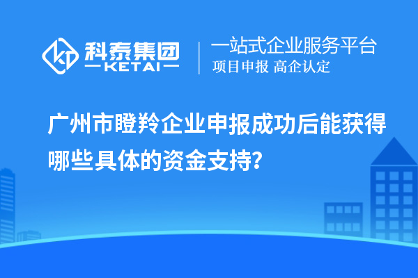 廣州市瞪羚企業申報成功后能獲得哪些具體的資金支持？