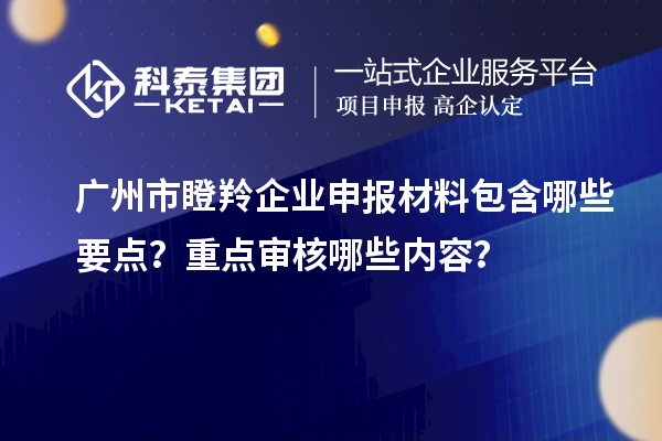 廣州市瞪羚企業申報材料包含哪些要點？重點審核哪些內容？