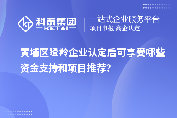 黃埔區瞪羚企業認定后可享受哪些資金支持和項目推薦？
