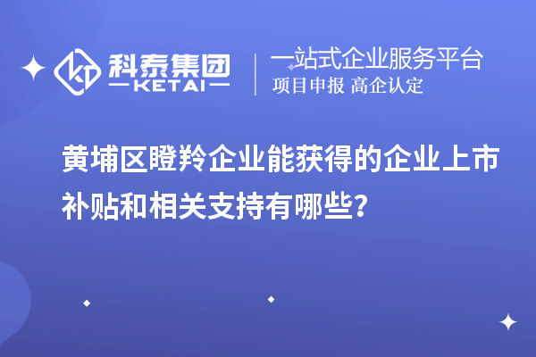 黃埔區瞪羚企業能獲得的企業上市補貼和相關支持有哪些？