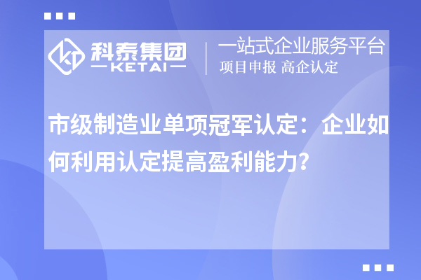 市級制造業單項冠軍認定：企業如何利用認定提高盈利能力？