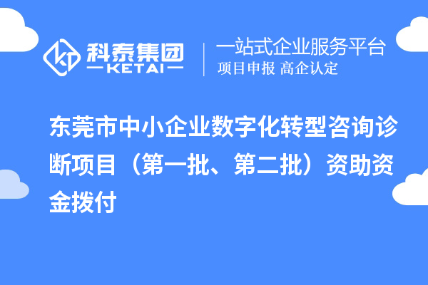 東莞市中小企業數字化轉型咨詢診斷項目（第一批、第二批）資助資金撥付