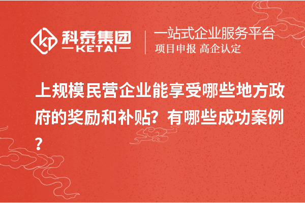 上規模民營企業能享受哪些地方政府的獎勵和補貼？有哪些成功案例？
