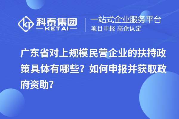 廣東省對上規模民營企業的扶持政策具體有哪些？如何申報并獲取政府資助？