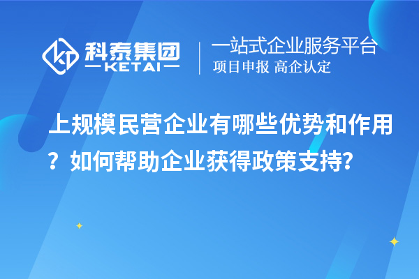 上規模民營企業有哪些優勢和作用？如何幫助企業獲得政策支持？