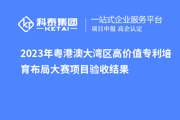 2023年粵港澳大灣區高價值專利培育布局大賽項目驗收結果