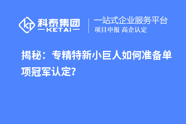揭秘：專精特新小巨人如何準備單項冠軍認定？